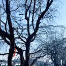 서울구일초등학교 이미지