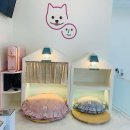콩몽이네 이미지