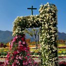 낙동강변25 이미지