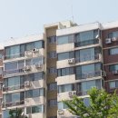 압구정-264 이미지