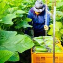 덕촌식품