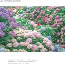 화이트하우스민박 이미지