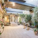 팔레드시즈 이미지