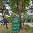 어린이 안전교육관 체험(1-2학년) 이미지