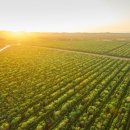 추억농장 이미지