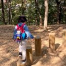 전재울근린공원 유아숲체험원 이미지