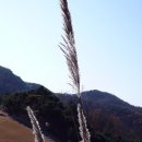 파인크리크C.C 이미지