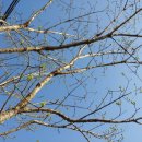 새순약국 이미지