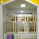 개편한 세상 이미지