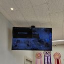 하이테디 이미지