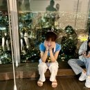 보성익스프레스 | 도쿄여행 3박4일 코스 일정 경비 후지산 일일투어 후기