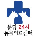 분당24시동물의료센터 이미지