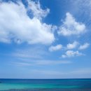 봄날서울요양원 이미지