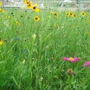 화원관광 이미지