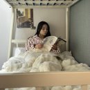 방잠하우스 이미지