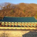 신흥사 - 1350 | 신흥사