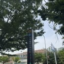 GS25창동금성점 | [상암 DMC맛집] 세광양대창 상암점 위치, 맛, 서비스 후기