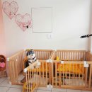 꽃보다 멍 이미지