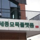 세종전의묘목협동조합 | [마을기업 인터뷰🎤] 재지정마을기업 세종전의묘목협동조합