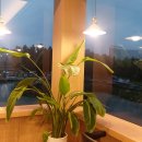 탑골프연습장 이미지