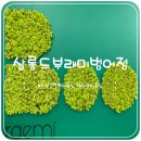 달구벌 살롱 | 수성구청역미용실 , 범어동미용실 , “살롱드부래미 범어점”