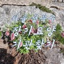 성북-길음-3510 이미지