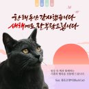 풍요로운 삶을 위한 필수 경제지식 | [행사노트] 어번던스 코드(Abundance Code)