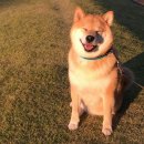 다담한옥 이미지