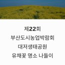 섬유소재 활용한 나만의 소품만들기 | 제22회 부산도시농업박람회 대저생태공원 유채꽃 명소 나들이