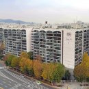 장미의거리13 이미지