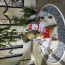 파인 관광농원 이미지