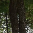 [경북 안동] 운무속에 갇혔던 아기산(해발591m) 탐방기