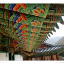 365계단 Daum카페