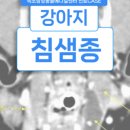 속초삼성동물병원 이미지