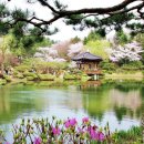 메디프라자 이미지