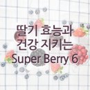 딸기 효능과 건강 지키는 Super Berry 6 이미지