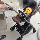 스마트실버 | 내돈내산 실버크로스 듄2 네이버 스마트 스토어 구매후기