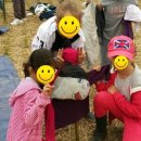 청사초롱마을 이미지