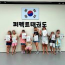 퍼펙트태권도 | 퍼펙트태권도