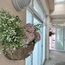 무릉도원자연펜션 이미지