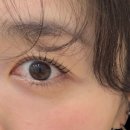 더나인울산 | 울산 삼산 속눈썹 펌 추천 더나인 울산점 노글루 영양시그니처펌