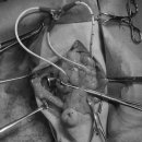 품 동물의료센터 이미지