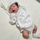 조은맘산후도우미군산익산점 | 익산 산후도우미 이용 후기 : 조은맘 익산군산점