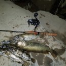 단양농협주유소 이미지