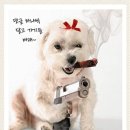 전주순두부 이미지