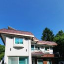 로뎅853-1 이미지