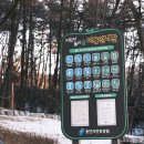 용인자연휴양림 야영장 이미지