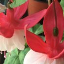 세실농장 이미지