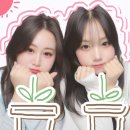 삼정자중학교 | 나의 2025