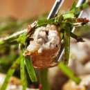 호수양곱창구이 이미지